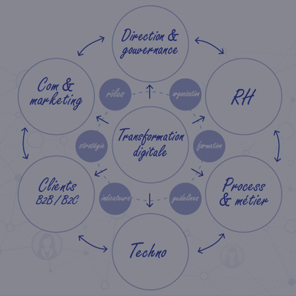diagnostics et audits